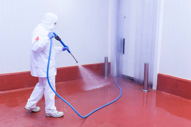 Best Paint Preparation  in Kerhonkson, NY